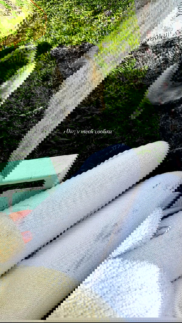 nyityam nyityam archive image