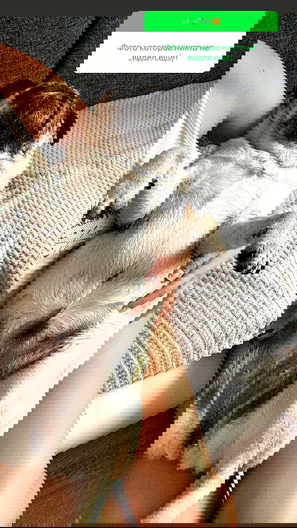 nyityam nyityam archive image