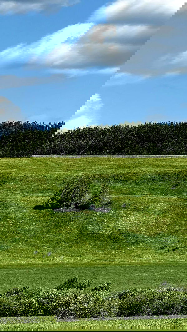 nyityam nyityam archive image