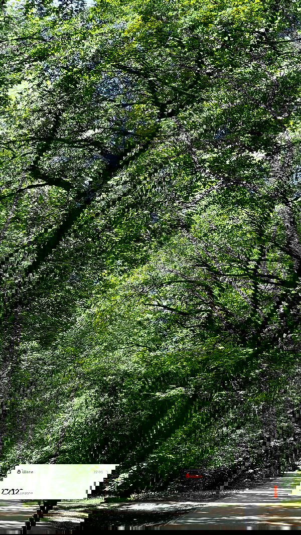 nyityam nyityam archive image