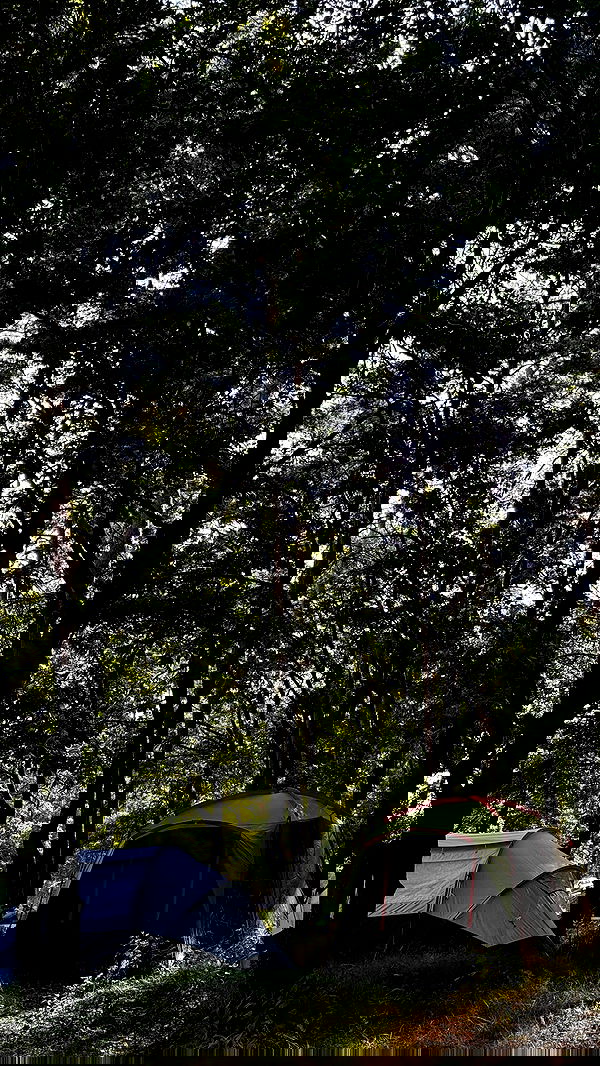 nyityam nyityam archive image