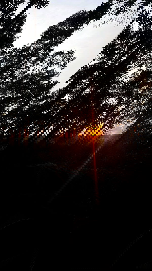 nyityam nyityam archive image