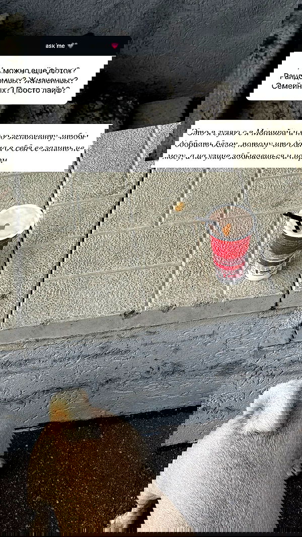 nyityam nyityam archive image