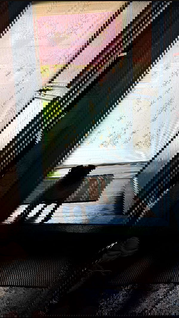 nyityam nyityam archive image