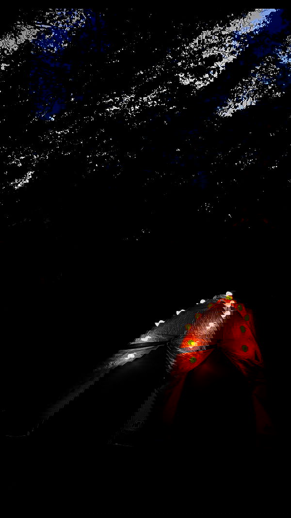 nyityam nyityam archive image