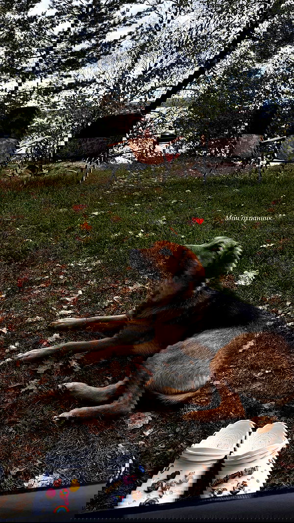 nyityam nyityam archive image