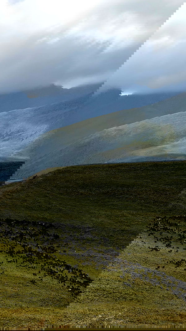 nyityam nyityam archive image