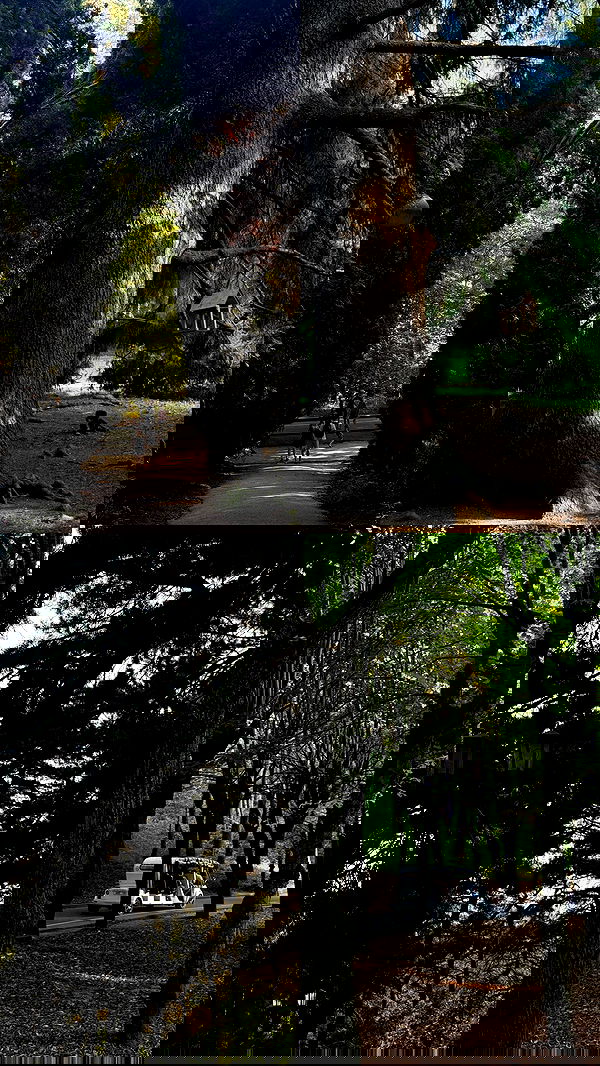 nyityam nyityam archive image