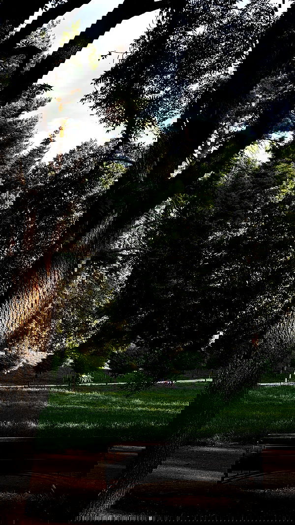 nyityam nyityam archive image