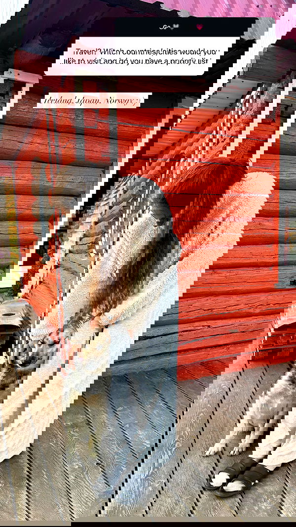 nyityam nyityam archive image