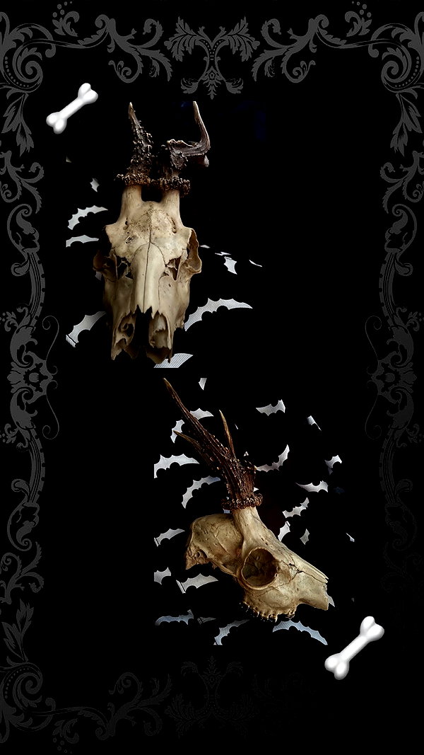 nylthria nylthria archive image