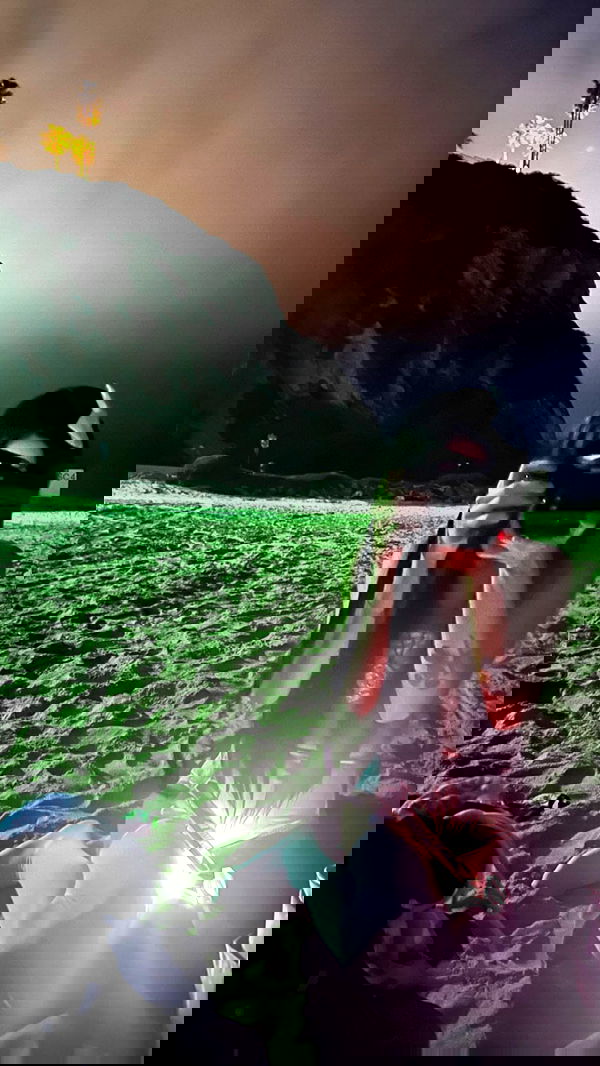 o.fukk image ~ Altpins