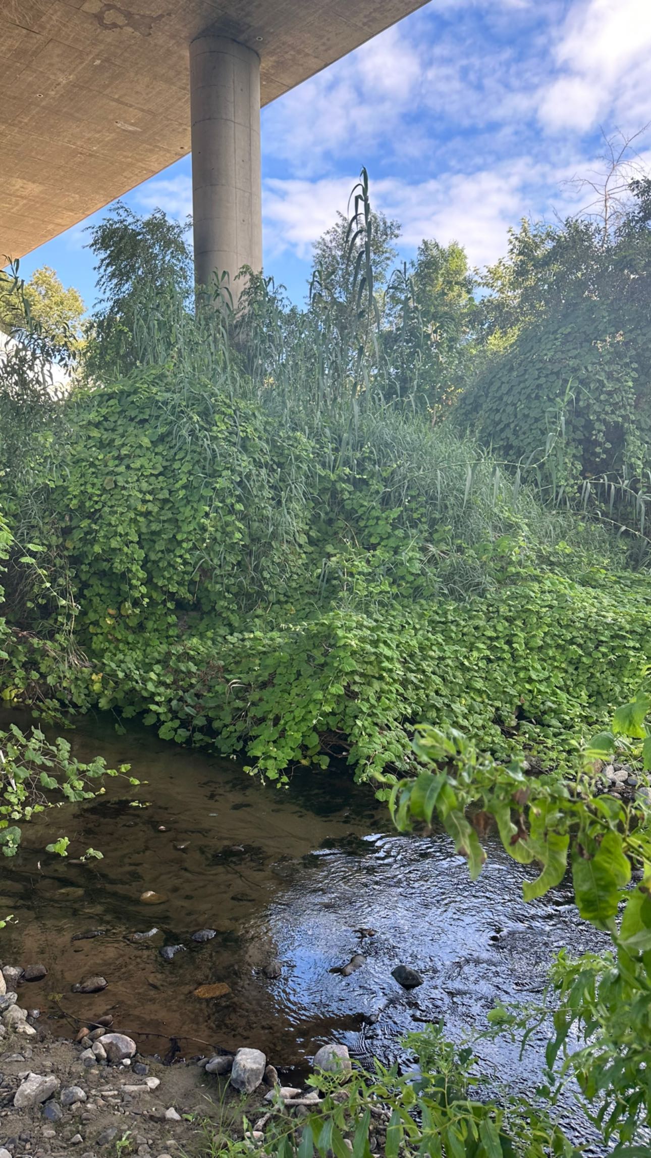 o.fukk instagram image archive image