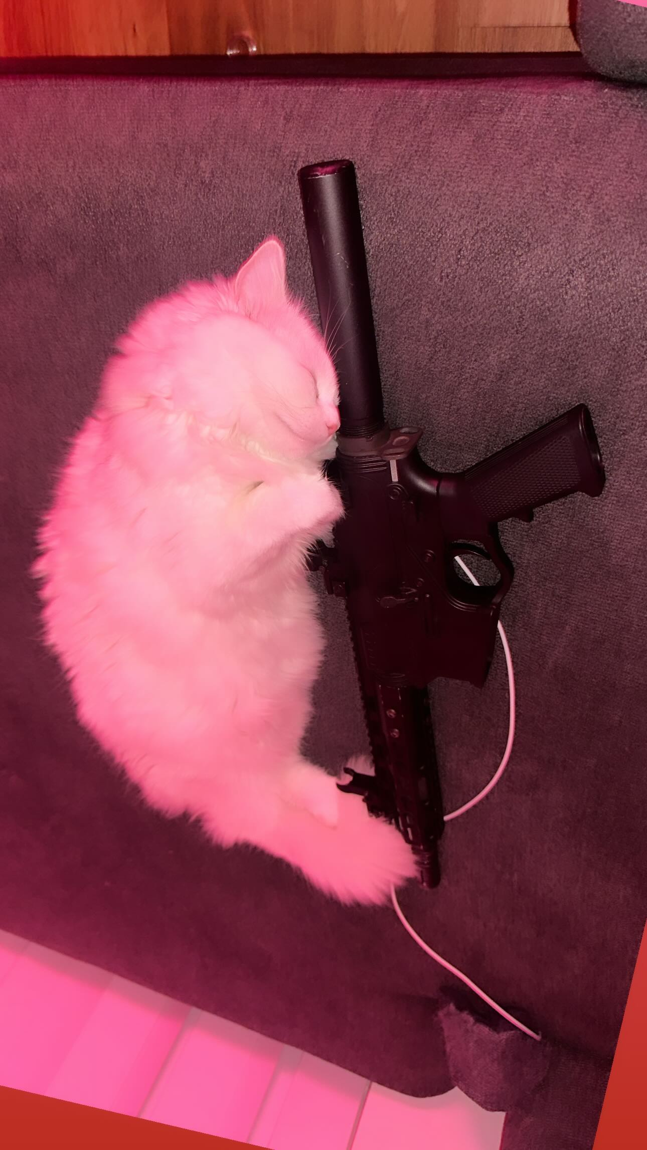 o.fukk instagram image archive image