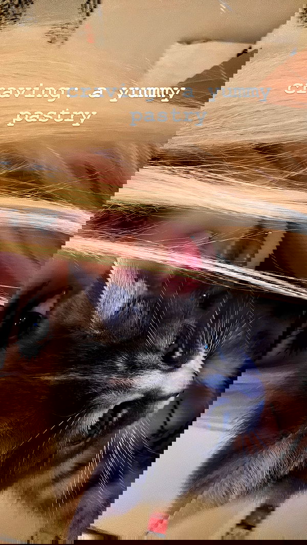 o.fukk image ~ Altpins