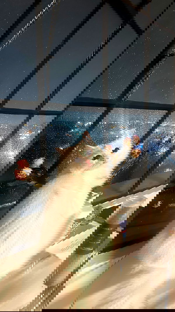 o.fukk image ~ Altpins