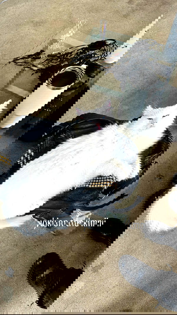 o.fukk image ~ Altpins