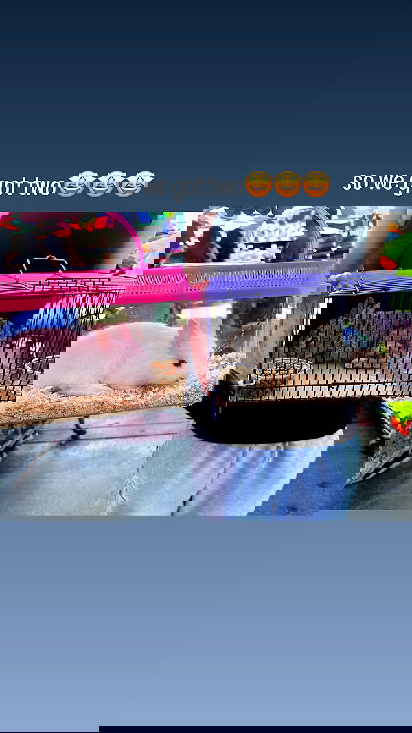 o.fukk image ~ Altpins