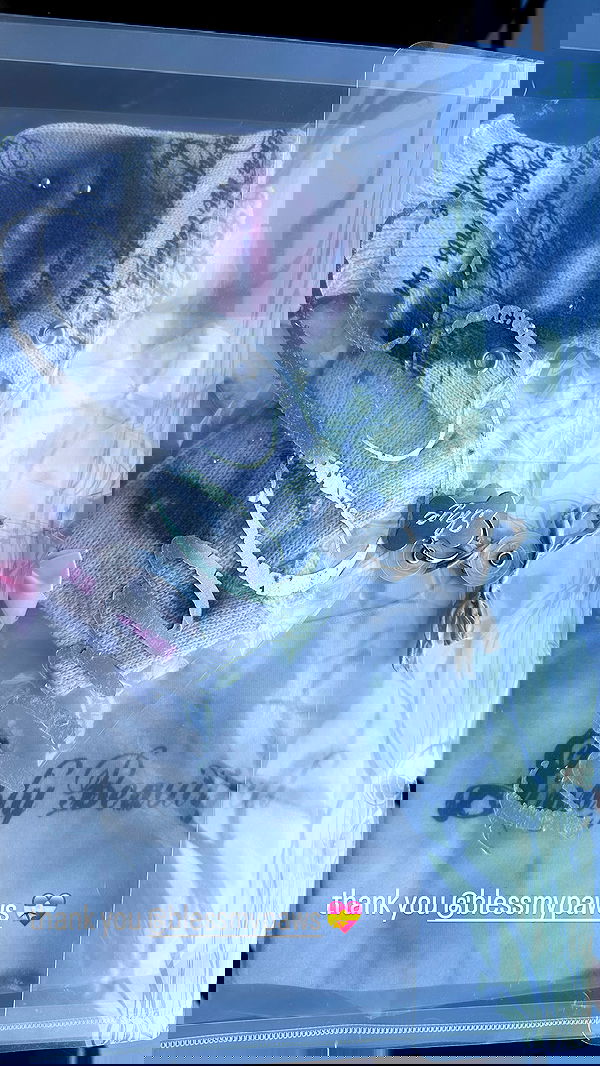 o.fukk image ~ Altpins