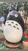 ochya0 Altpins Profile Picture