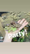 ochya0 Altpins Profile Picture