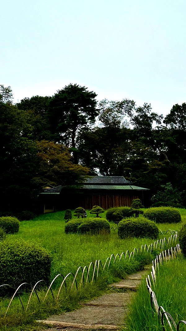 ochya0 ochya0 archive image