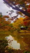 ochya0 Altpins Profile Picture