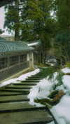 ochya0 Altpins Profile Picture