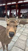 ochya0 Altpins Profile Picture
