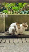 ochya0 Altpins Profile Picture