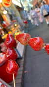 ochya0 Altpins Profile Picture