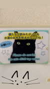 ochya0 Altpins Profile Picture