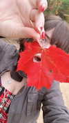 ochya0 Altpins Profile Picture
