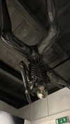 ochya0 Altpins Profile Picture