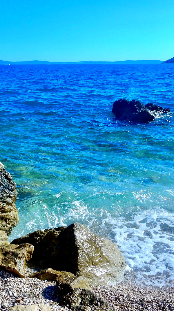ochya0 ochya0 archive image