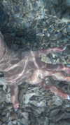 ochya0 Altpins Profile Picture