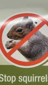 ochya0 Altpins Profile Picture