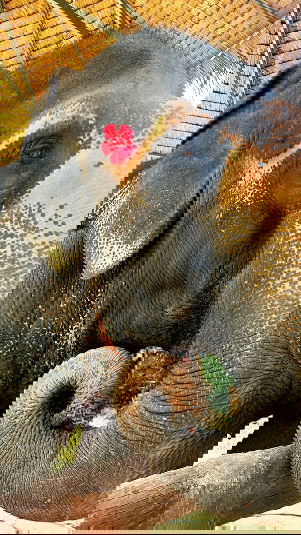 ofir.dg ofir.dg archive image