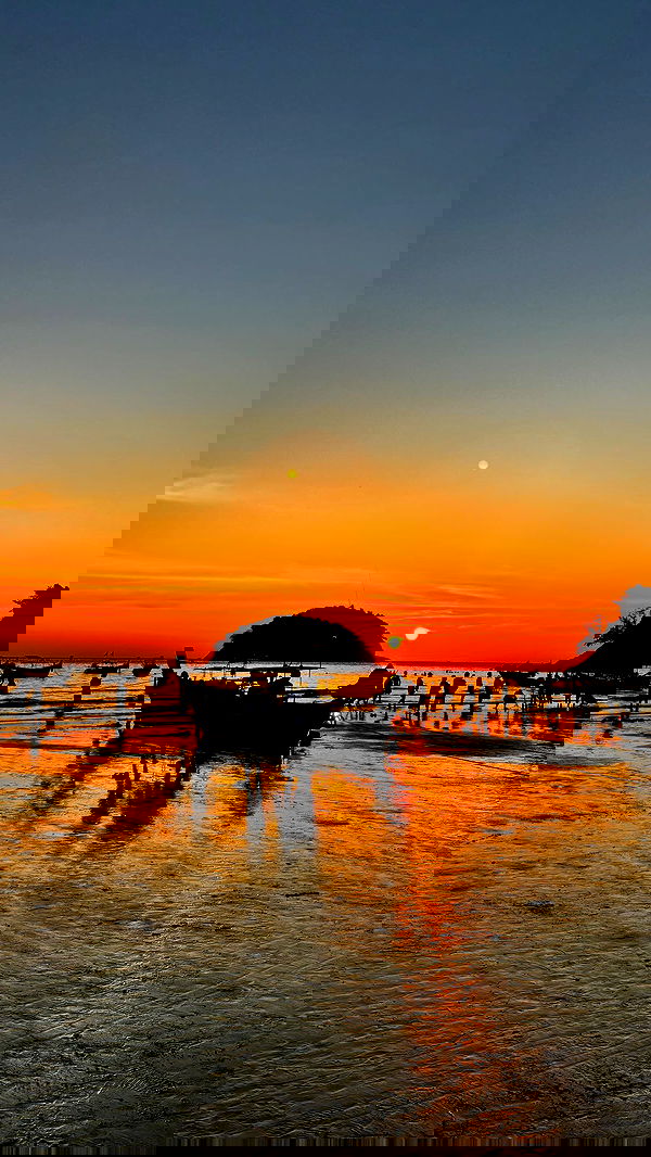 ofir.dg ofir.dg archive image