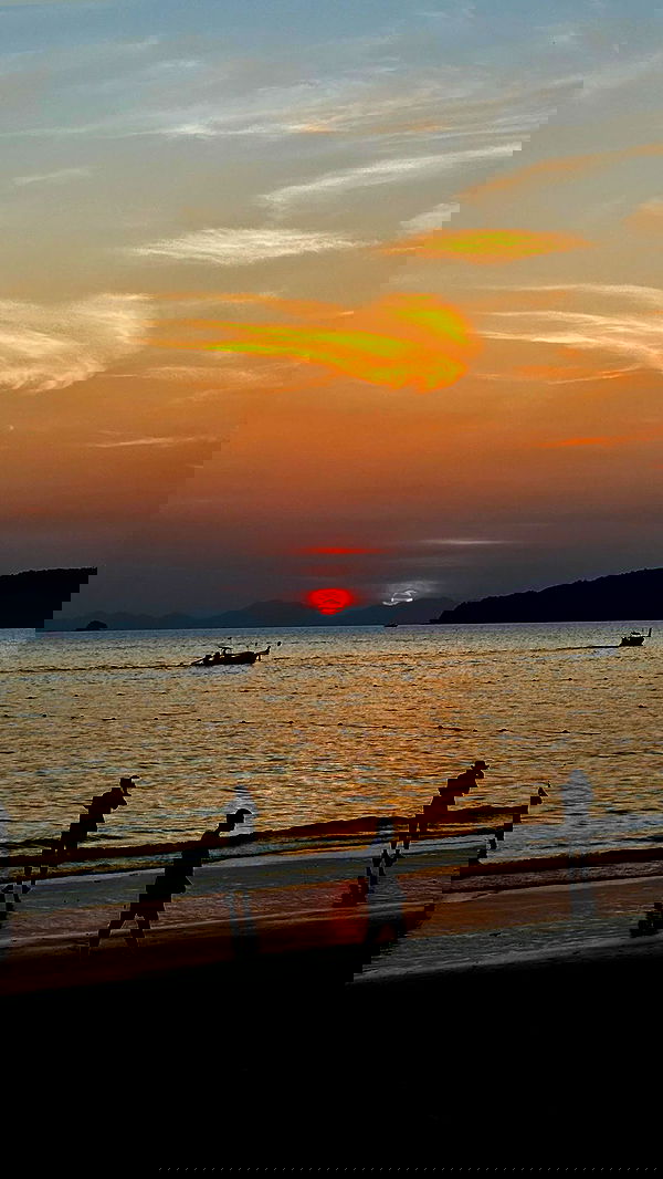 ofir.dg ofir.dg archive image