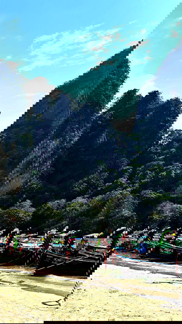 ofir.dg ofir.dg archive image