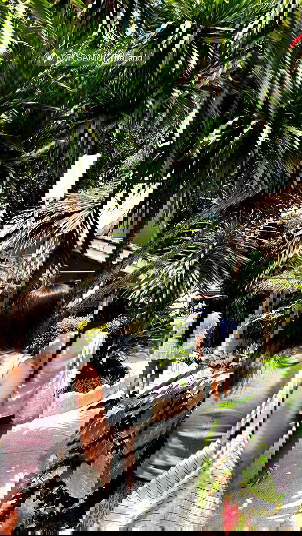 ofir.dg ofir.dg archive image