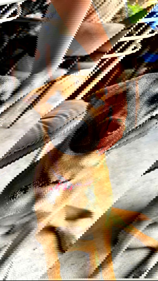 ofir.dg ofir.dg archive image