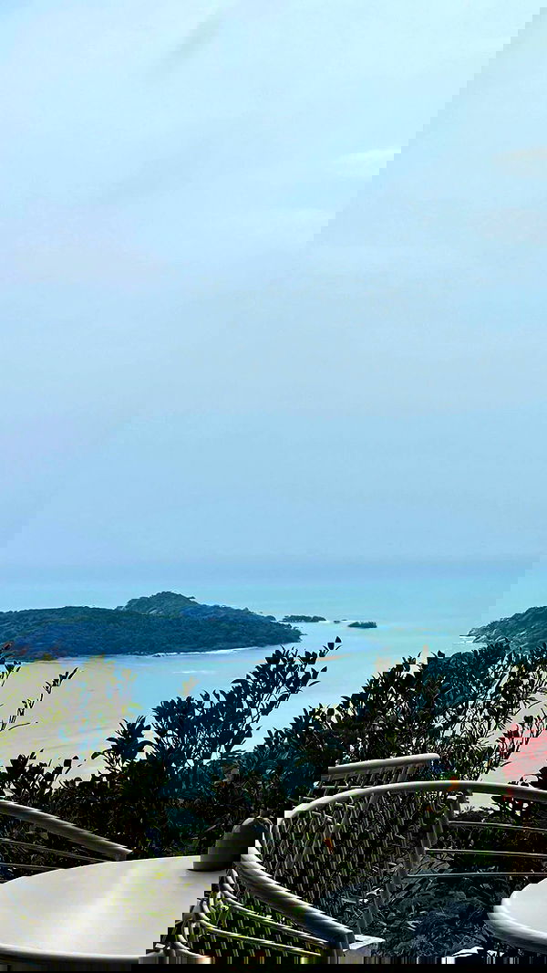 ofir.dg ofir.dg archive image