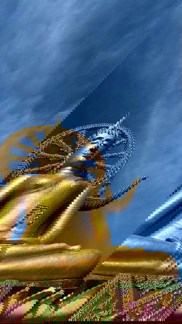 ofir.dg ofir.dg archive image