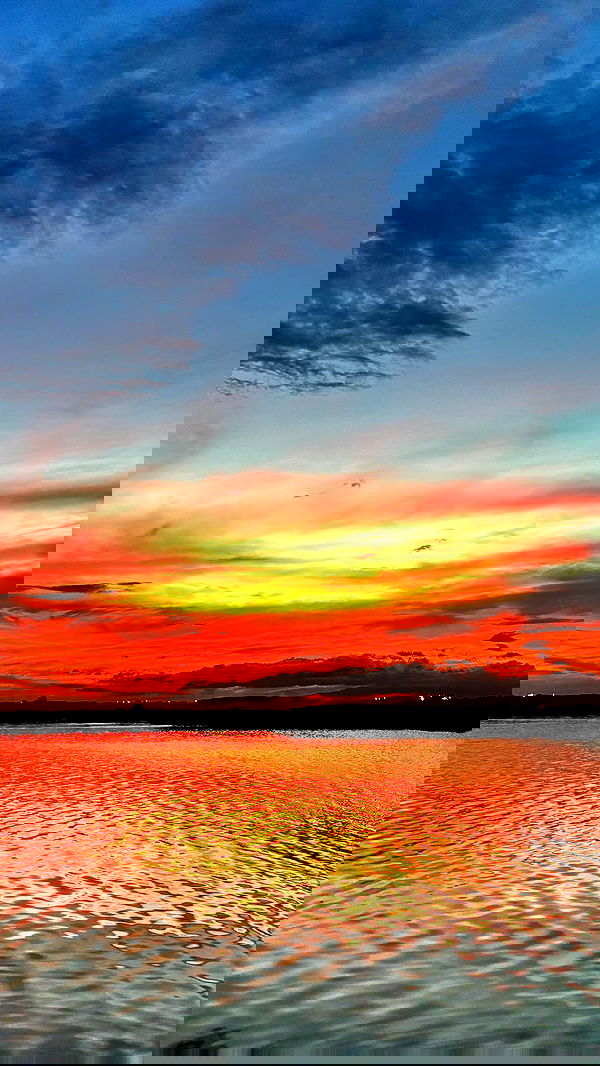 ofir.dg ofir.dg archive image