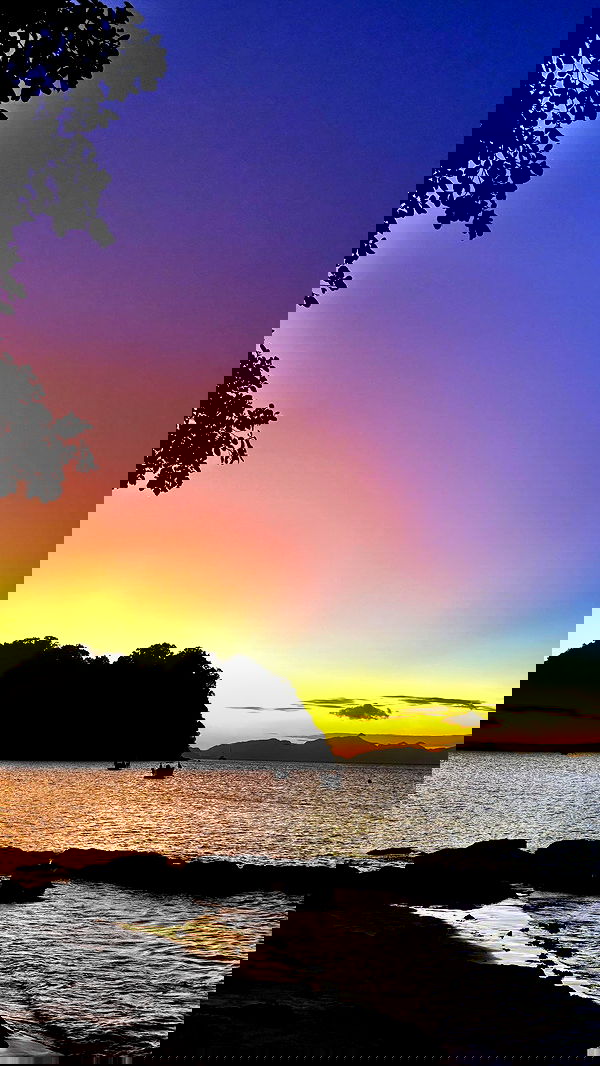 ofir.dg ofir.dg archive image