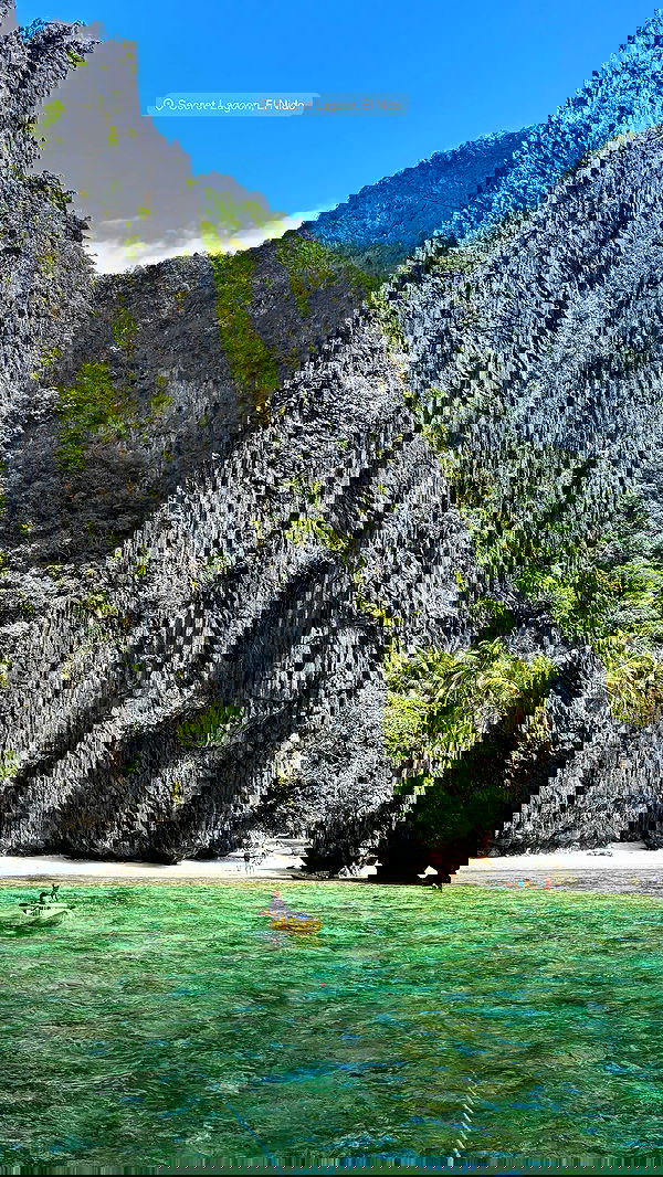 ofir.dg ofir.dg archive image