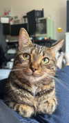 ogphos Altpins Profile Picture