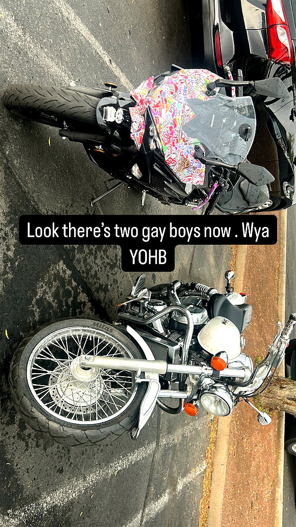 ohheypal instagram image archive image